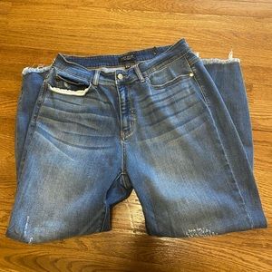 Judy Blue skinny Jeans 16W